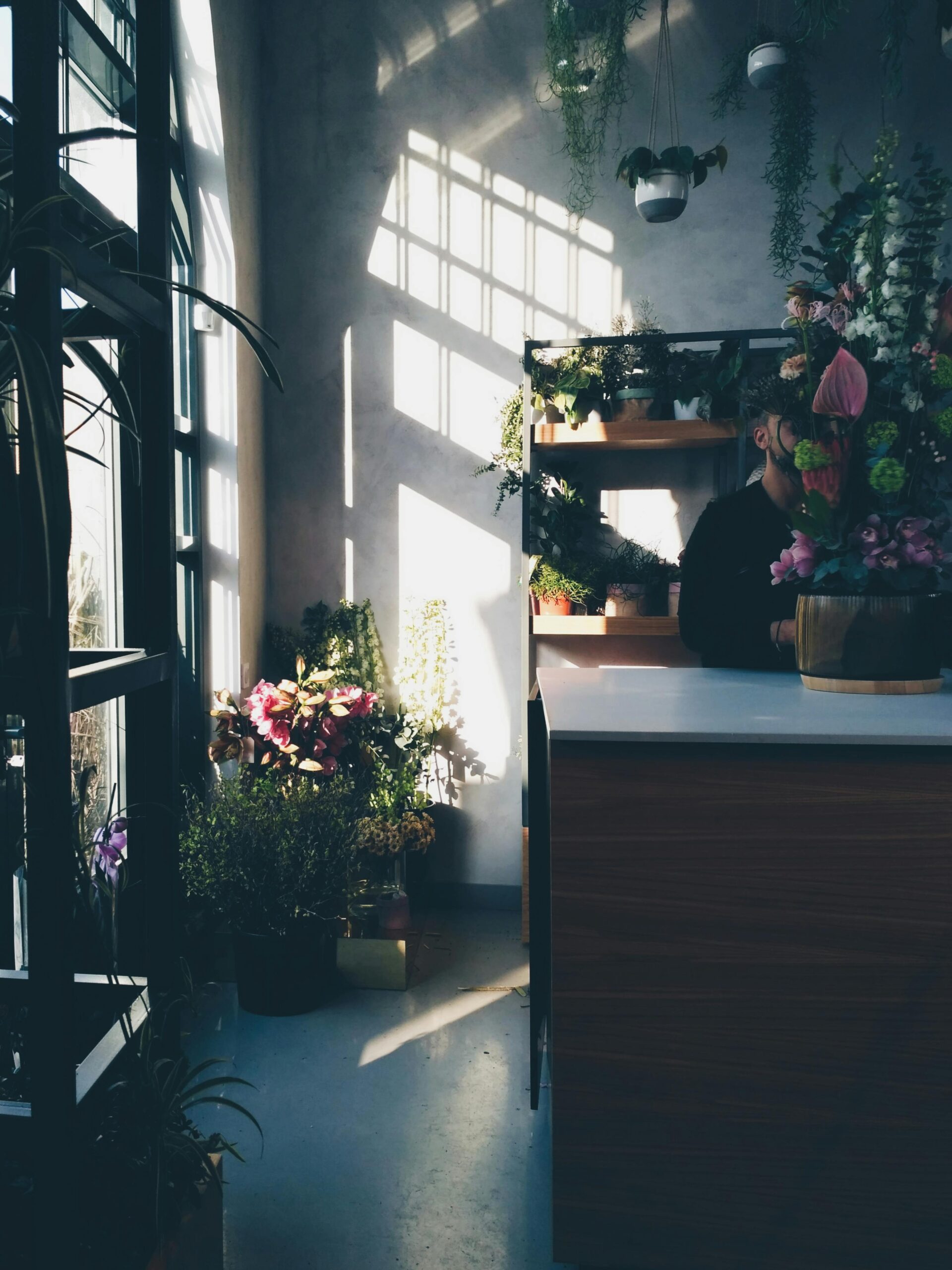 Cozy indoor flower shop bathed in warm sunlight showcasing diverse floral arrangements.